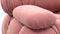 Bellini Sofa - Mario Bellini Open End Sofa, Right, Blush Pink Velvet