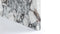 Ares - Ares Coffee Table, Modellato Marble