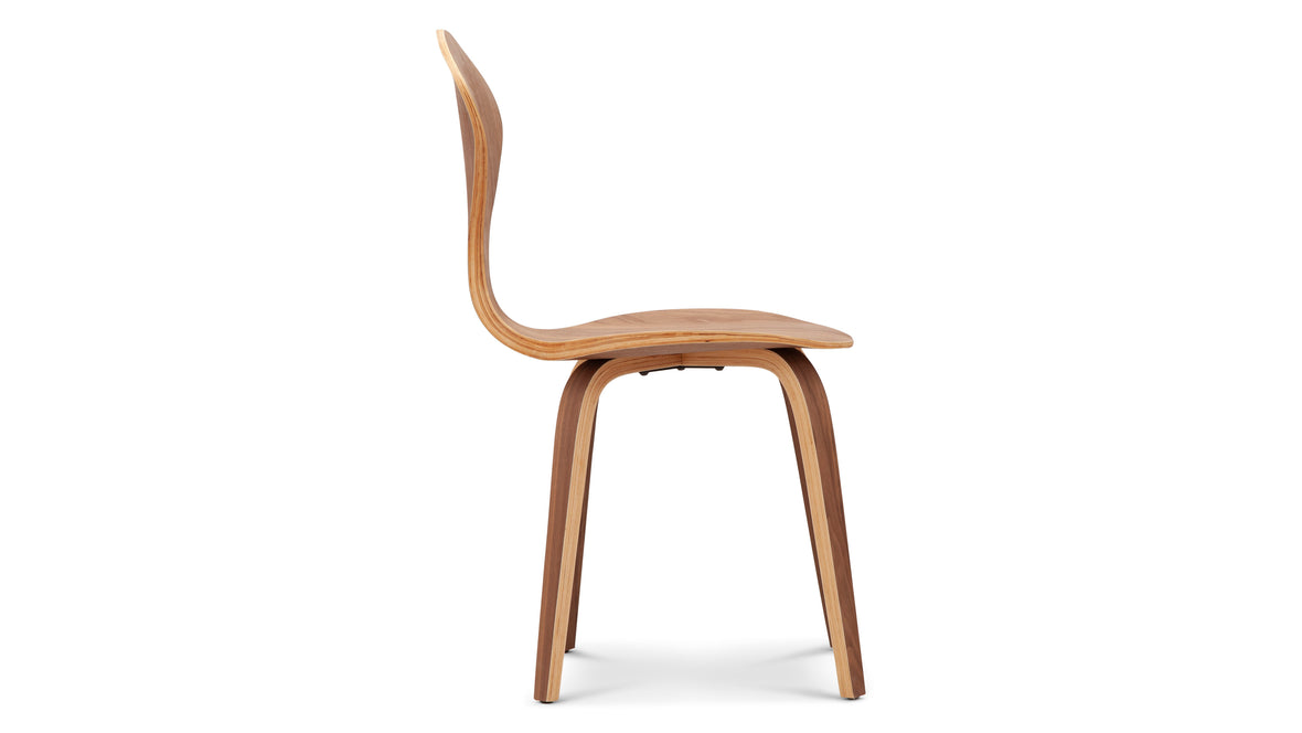 Norman - Norman Dining Chair, Walnut