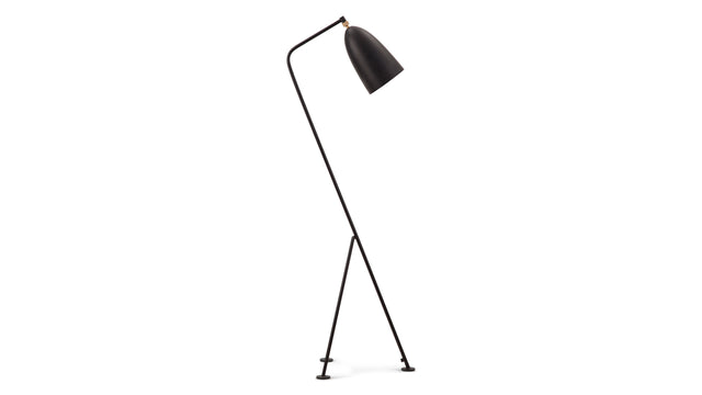 Grasshopper - Grasshopper Floor Lamp, Black