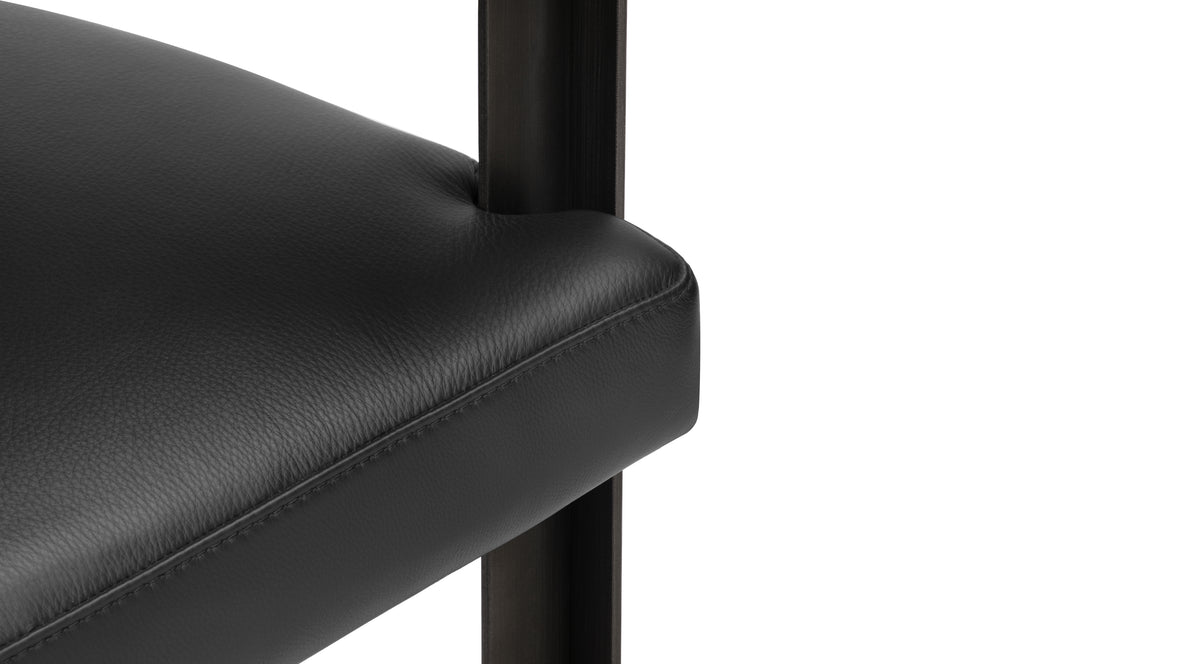 Tay - Tay Chair, Midnight Black Premium Leather